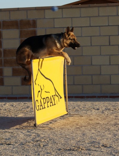 ROCCO, CON 9 MESES A LA ORDEN DE SALTO.